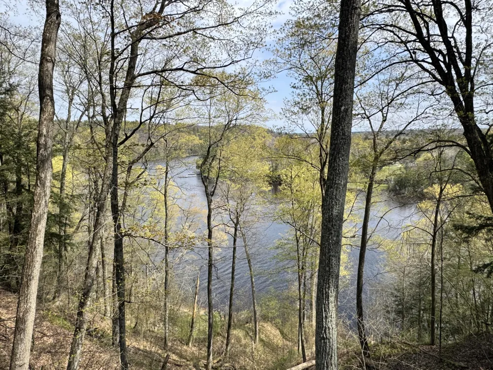 4468 Teal Lane Big Prairie Township, MI 49337