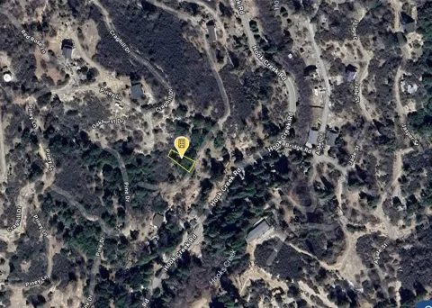 Pine Drive