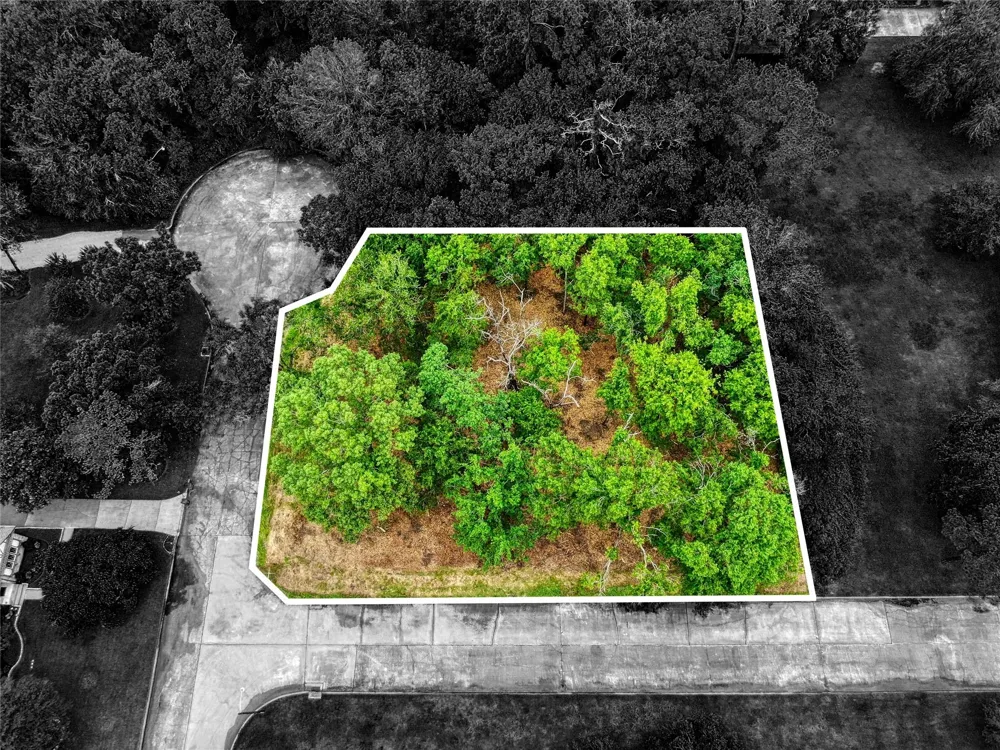 501 Colonial Drive Friendswood, TX 77546