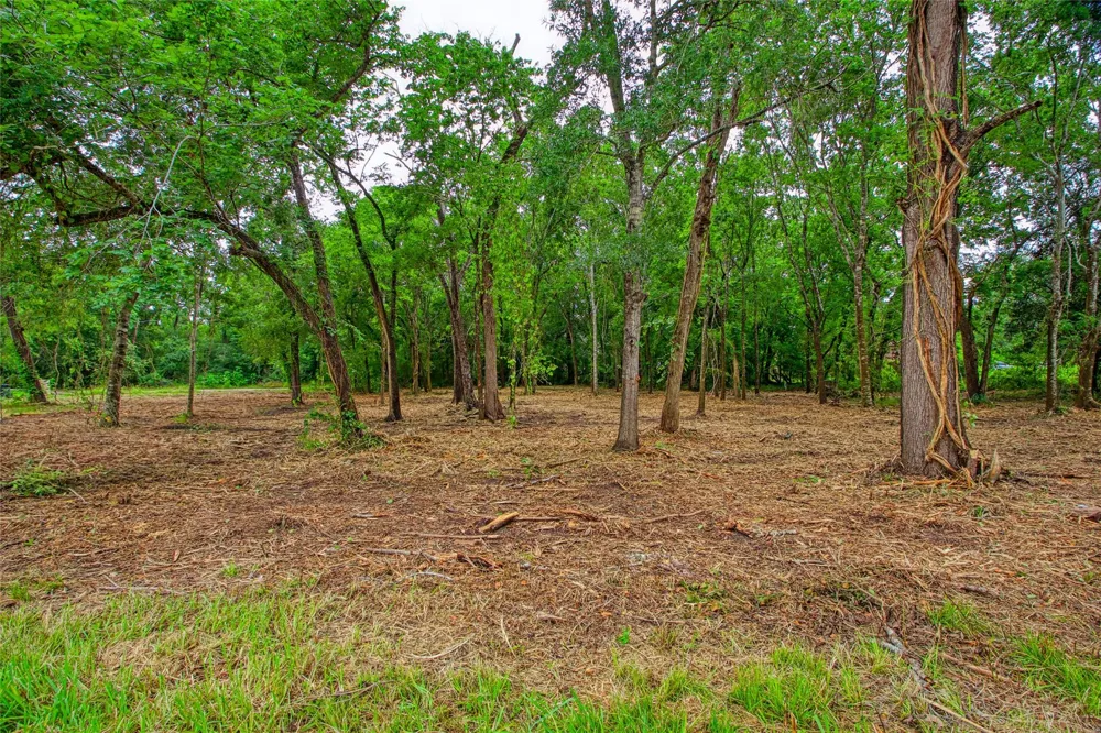 501 Colonial Drive Friendswood, TX 77546