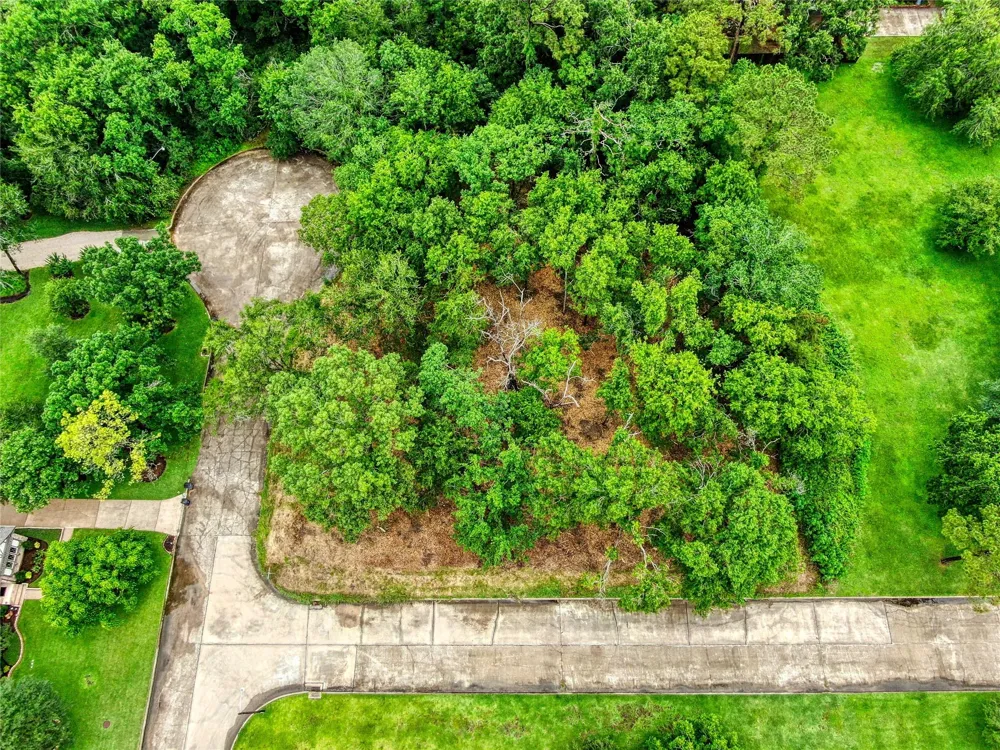 501 Colonial Drive Friendswood, TX 77546