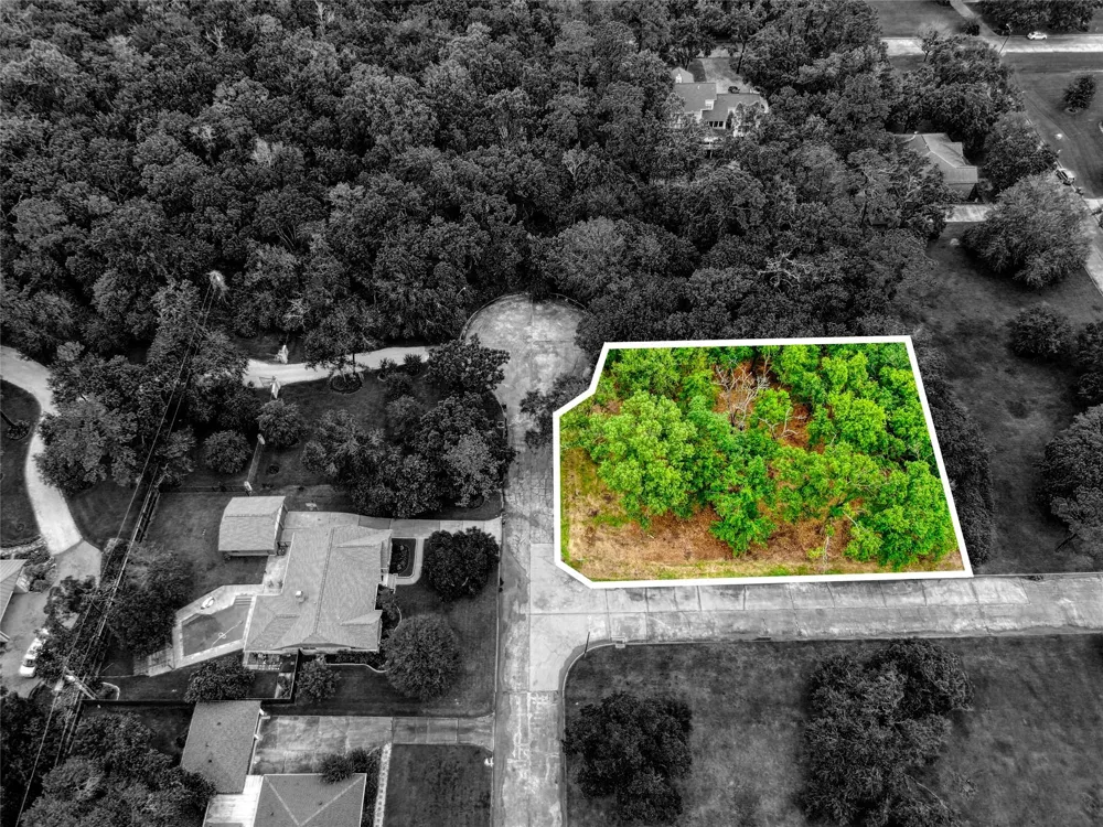 501 Colonial Drive Friendswood, TX 77546