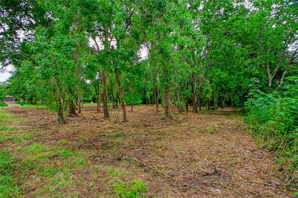 501 Colonial Drive Friendswood, TX 77546