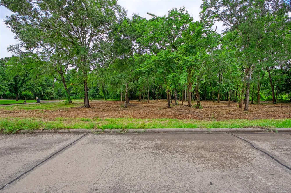 501 Colonial Drive Friendswood, TX 77546