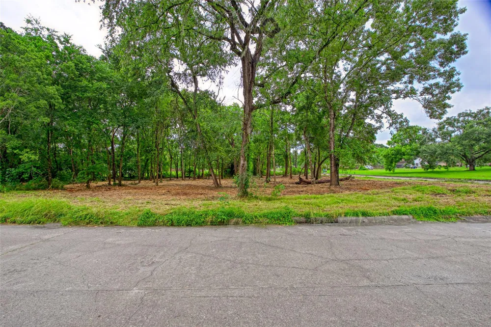 501 Colonial Drive Friendswood, TX 77546