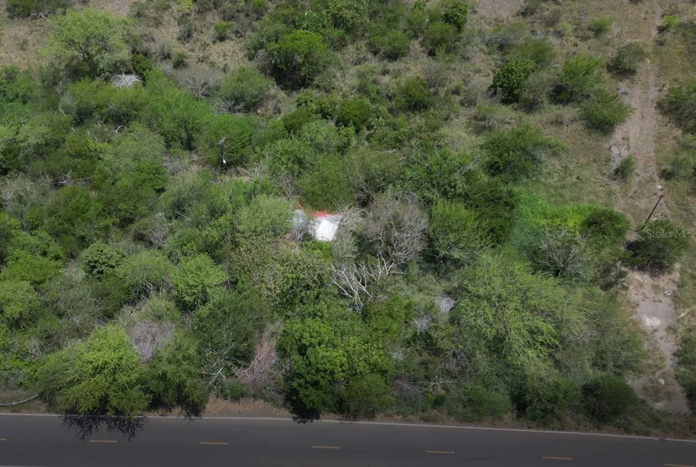 Km 12.1 PR 303 Cabo Rojo, PR 00623
