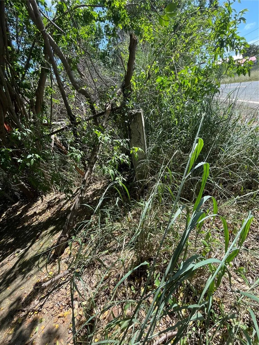 Km 12.1 PR 303 Cabo Rojo, PR 00623