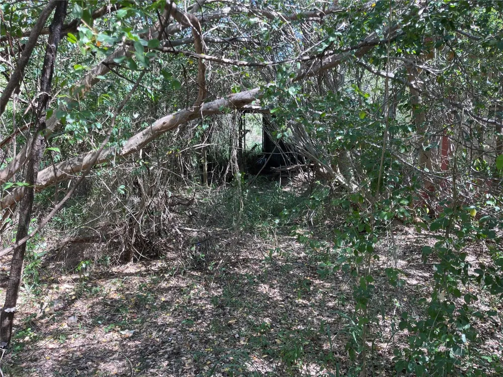 Km 12.1 PR 303 Cabo Rojo, PR 00623