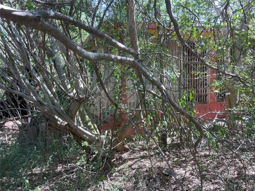 Km 12.1 PR 303 Cabo Rojo, PR 00623