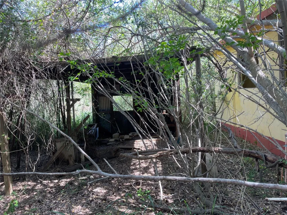 Km 12.1 PR 303 Cabo Rojo, PR 00623