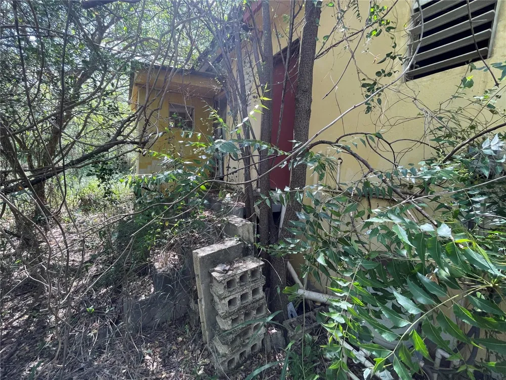 Km 12.1 PR 303 Cabo Rojo, PR 00623