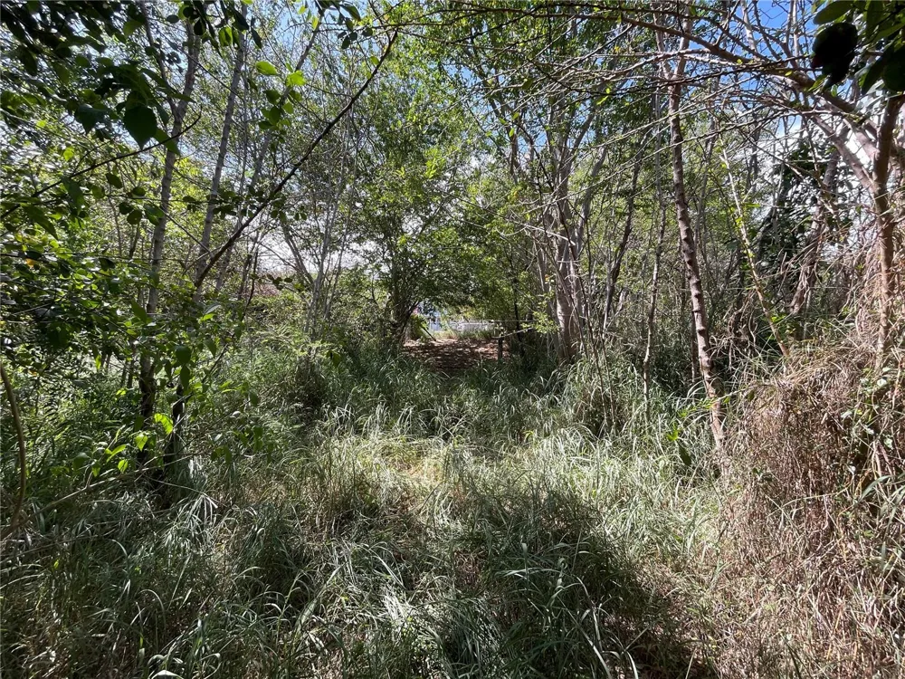 Km 12.1 PR 303 Cabo Rojo, PR 00623