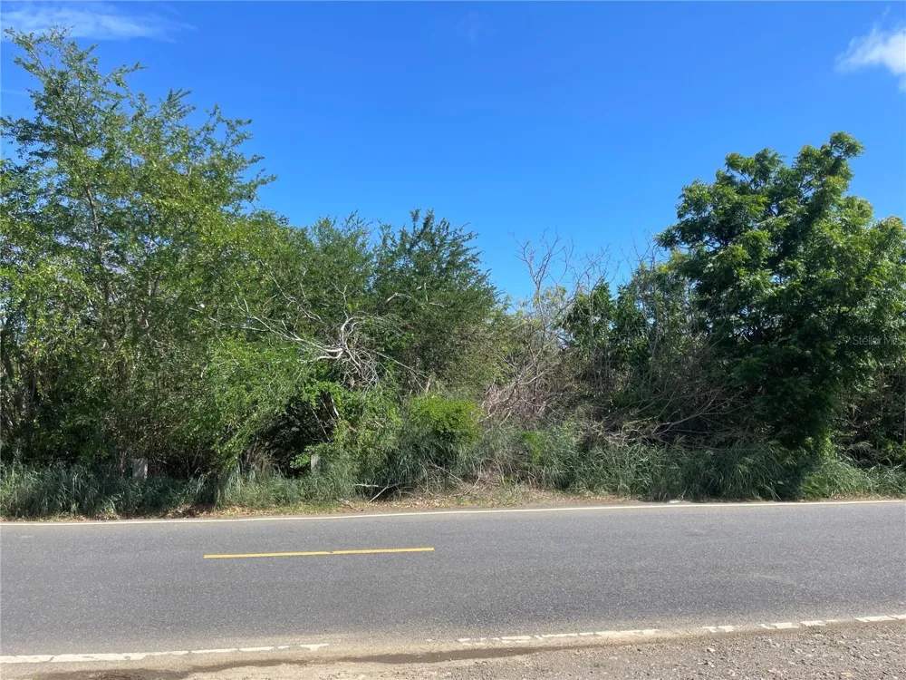 Km 12.1 PR 303 Cabo Rojo, PR 00623