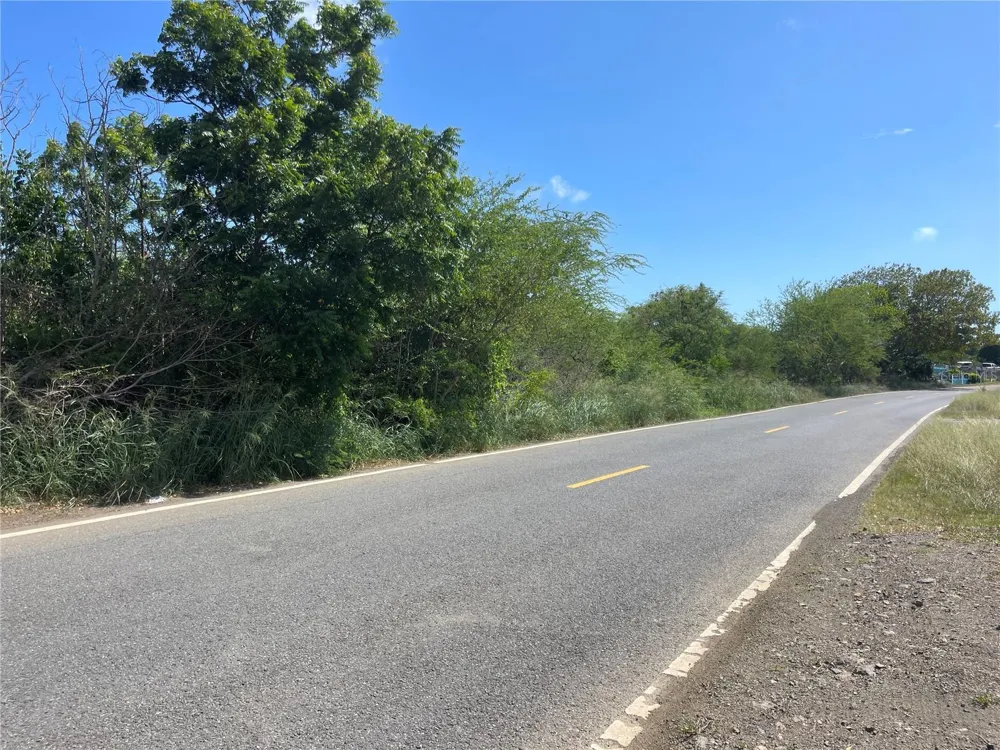 Km 12.1 PR 303 Cabo Rojo, PR 00623
