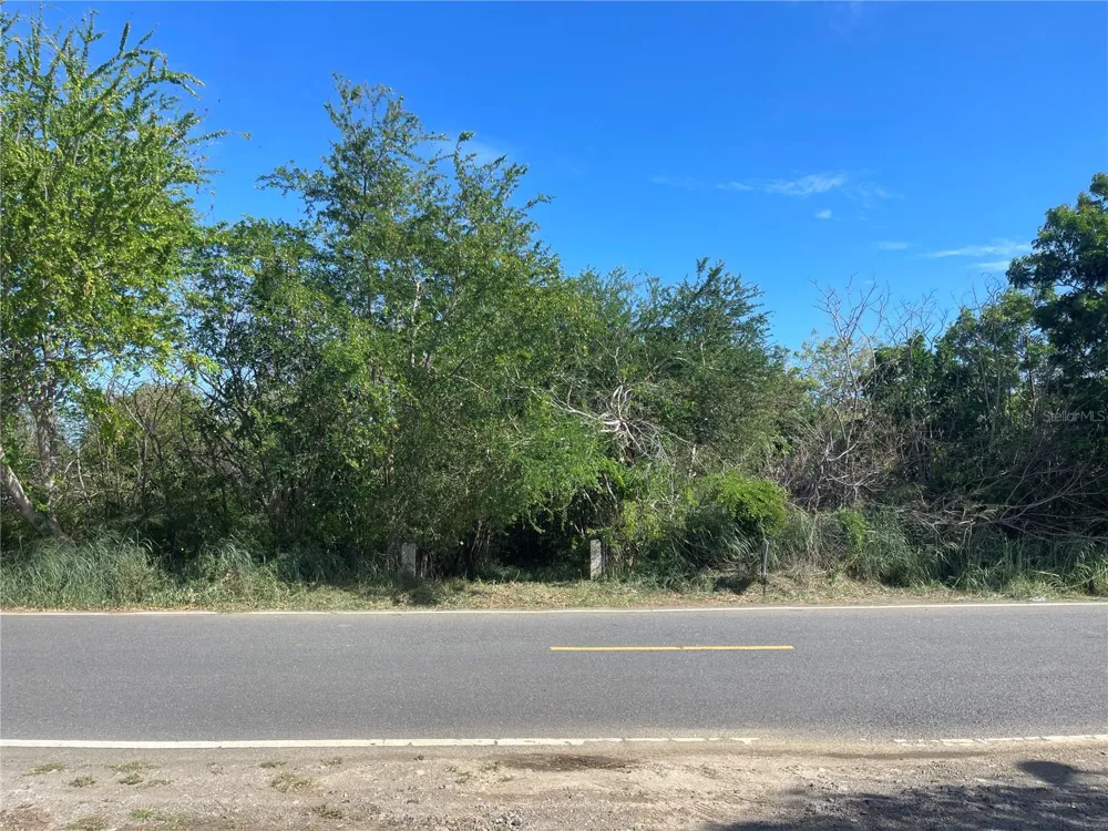Km 12.1 PR 303 Cabo Rojo, PR 00623