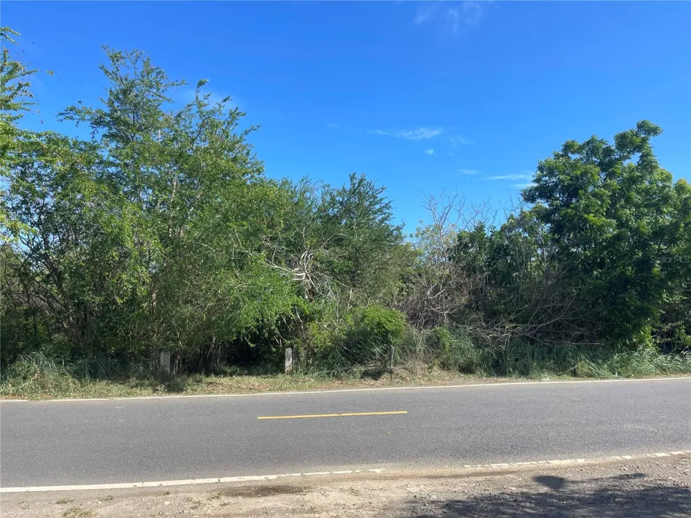 Km 12.1 PR 303 Cabo Rojo, PR 00623