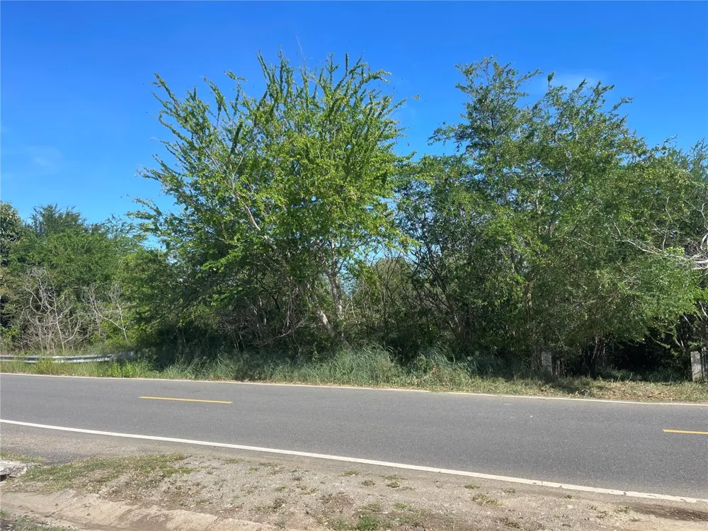 Km 12.1 PR 303 Cabo Rojo, PR 00623