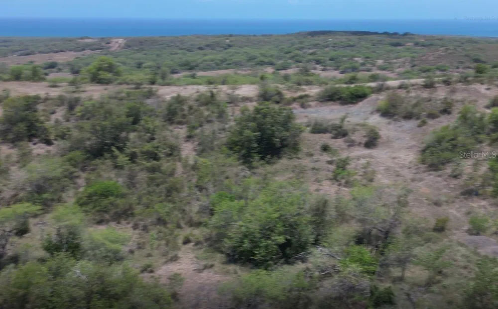 Km 12.1 PR 303 Cabo Rojo, PR 00623