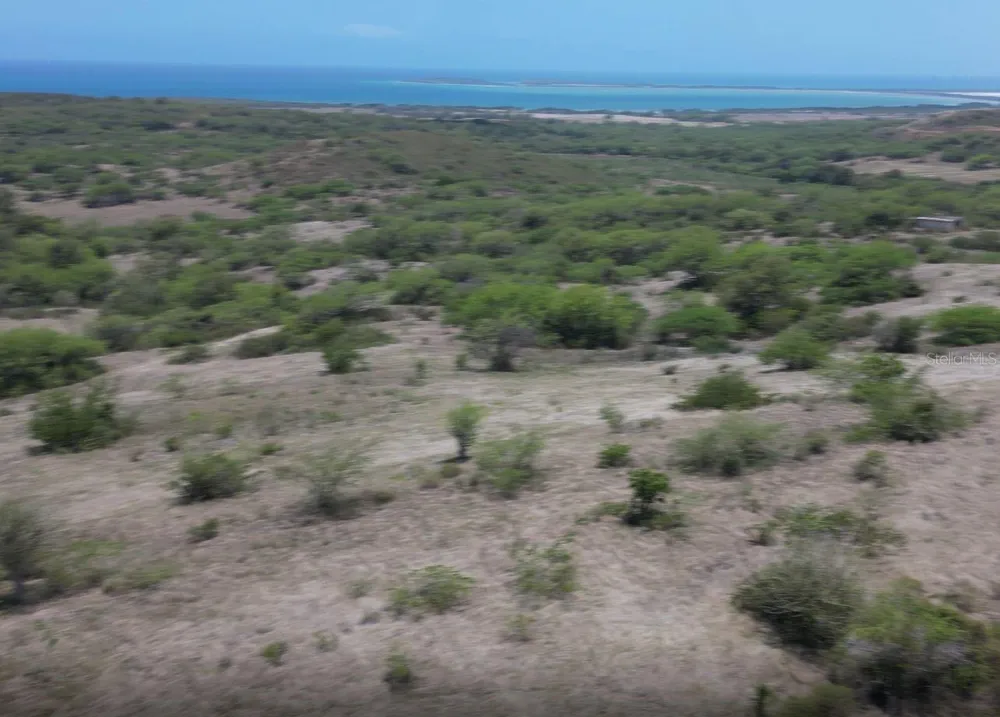 Km 12.1 PR 303 Cabo Rojo, PR 00623