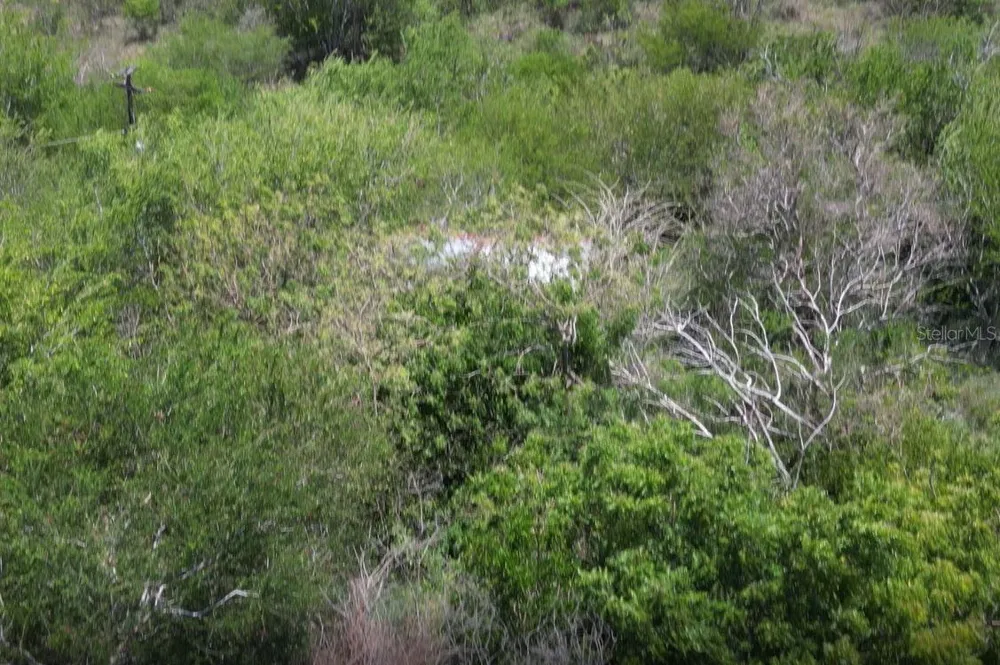 Km 12.1 PR 303 Cabo Rojo, PR 00623