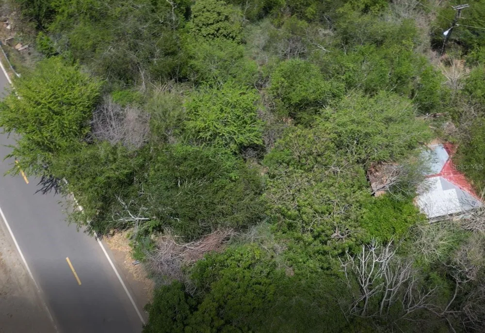 Km 12.1 PR 303 Cabo Rojo, PR 00623