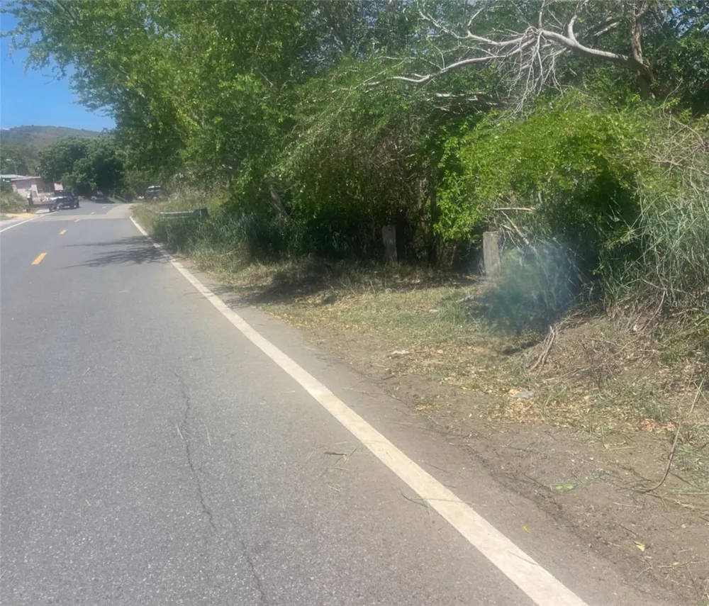 Km 12.1 PR 303 Cabo Rojo, PR 00623