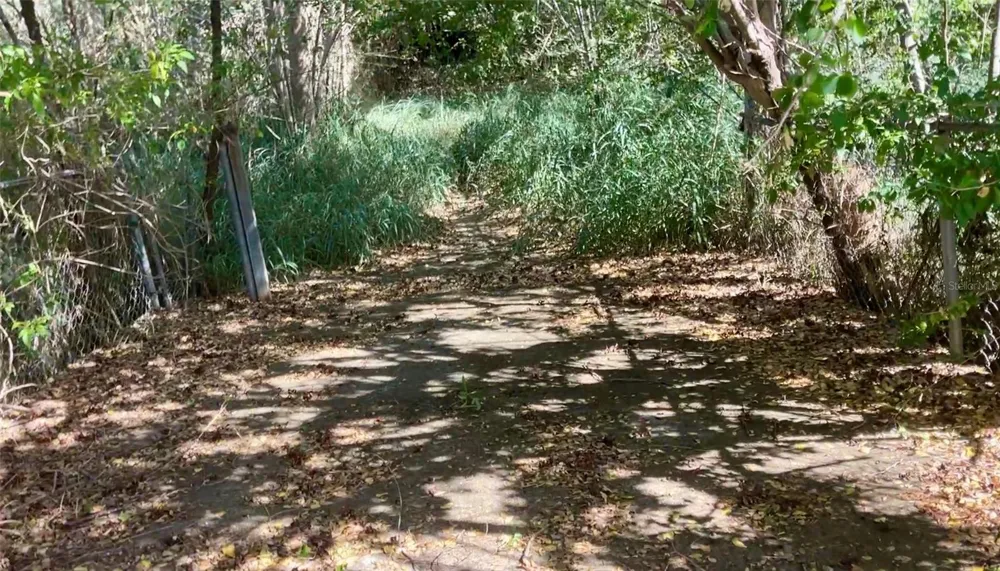 Km 12.1 PR 303 Cabo Rojo, PR 00623