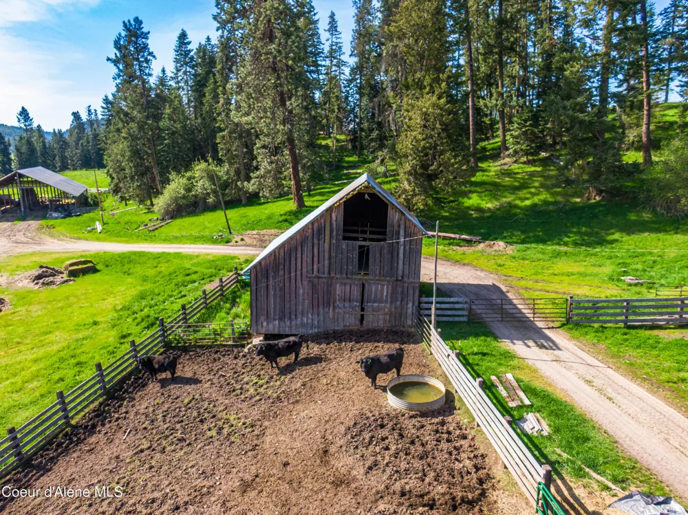 1101 Ruby Creek Rd Harvard, ID 83834