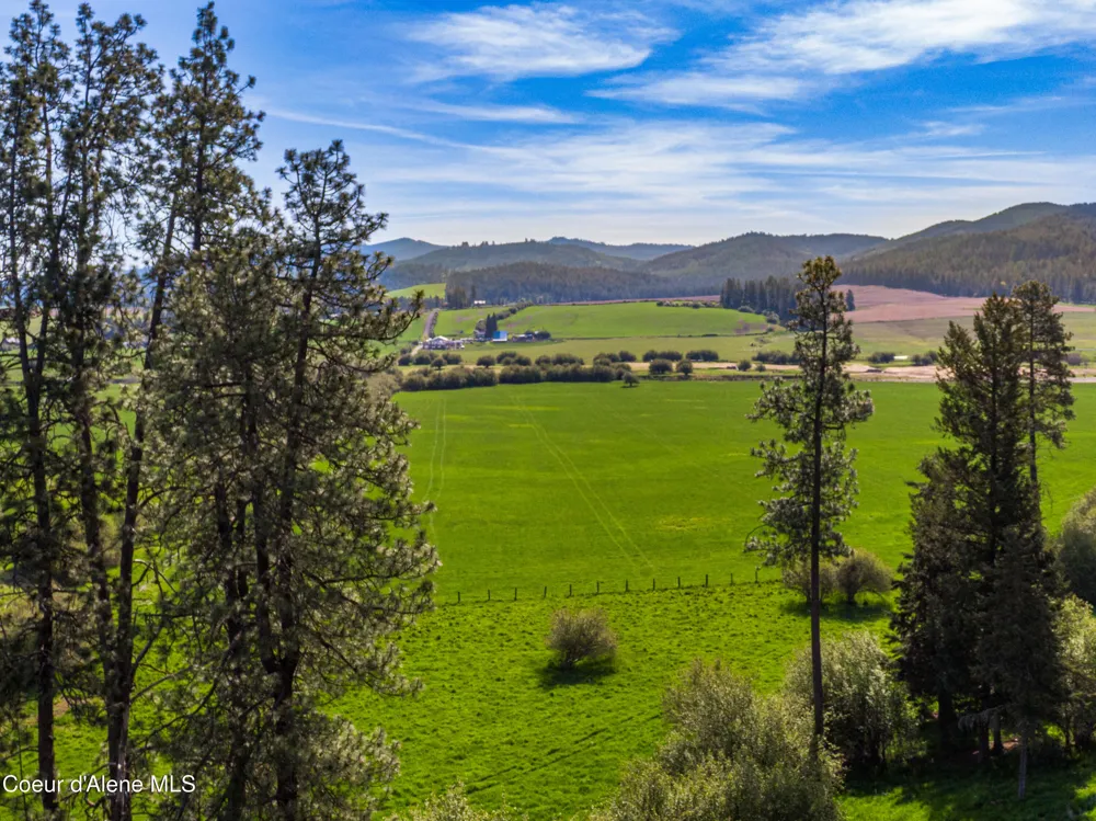 1101 Ruby Creek Rd Harvard, ID 83834