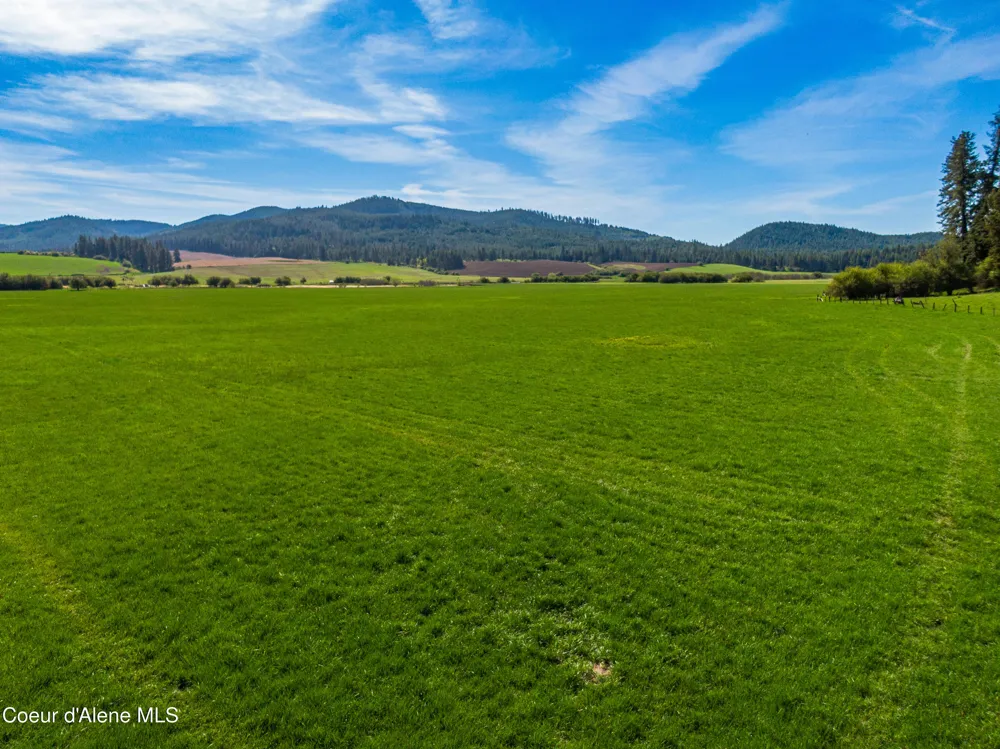 1101 Ruby Creek Rd Harvard, ID 83834