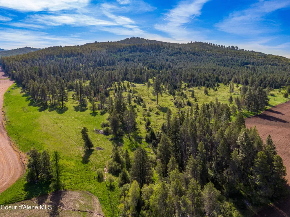 1101 Ruby Creek Rd Harvard, ID 83834
