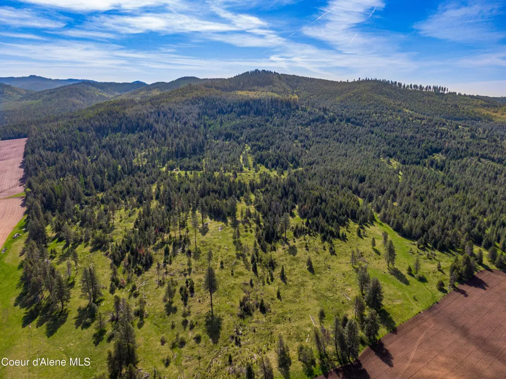 1101 Ruby Creek Rd Harvard, ID 83834