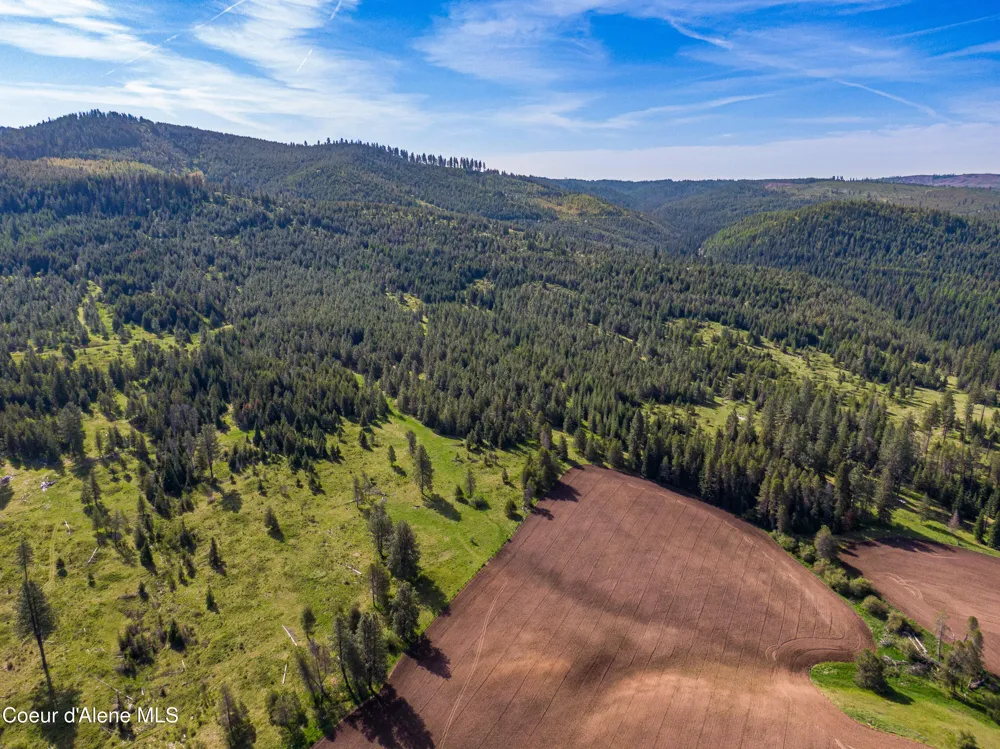 1101 Ruby Creek Rd Harvard, ID 83834