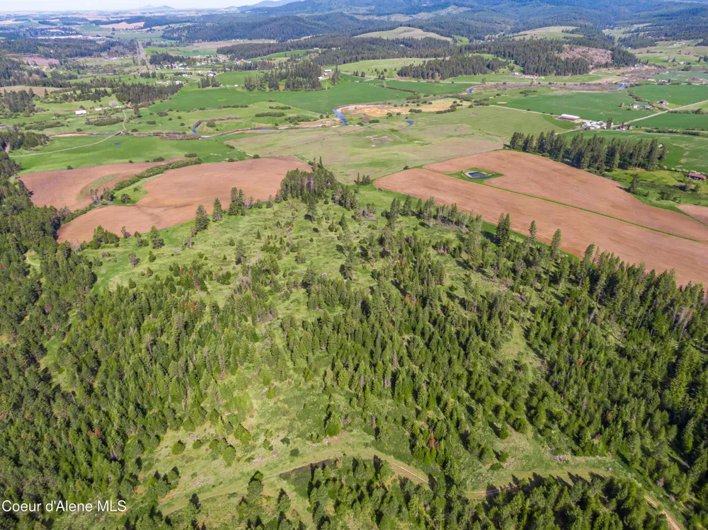 1101 Ruby Creek Rd Harvard, ID 83834