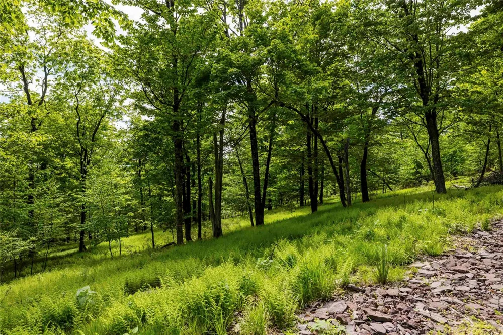 8 Forest Camp Road Wawarsing, NY 12489