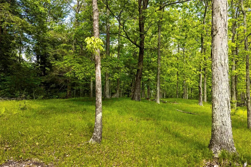 8 Forest Camp Road Wawarsing, NY 12489