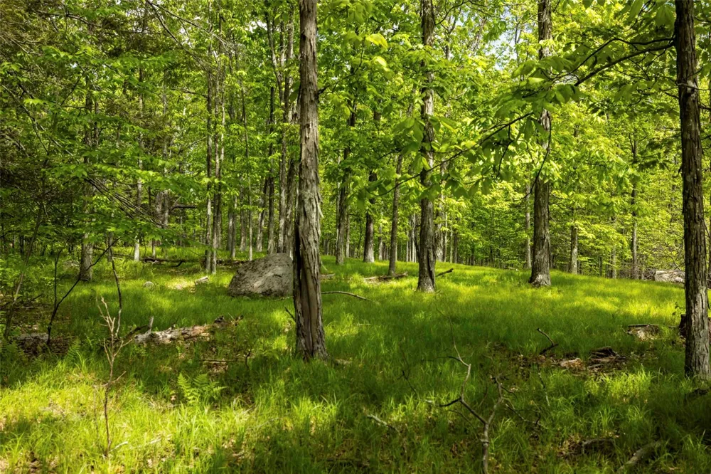 8 Forest Camp Road Wawarsing, NY 12489