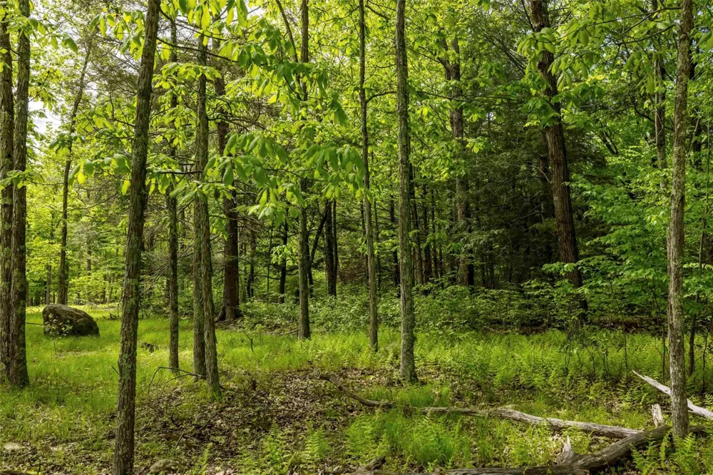 8 Forest Camp Road Wawarsing, NY 12489
