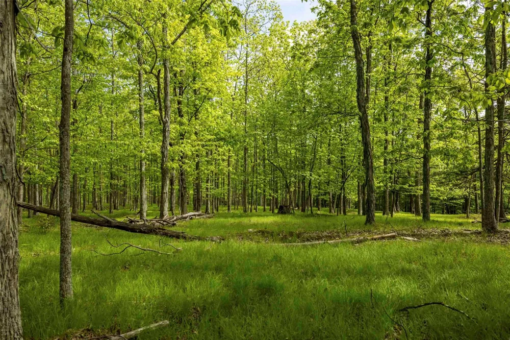 8 Forest Camp Road Wawarsing, NY 12489