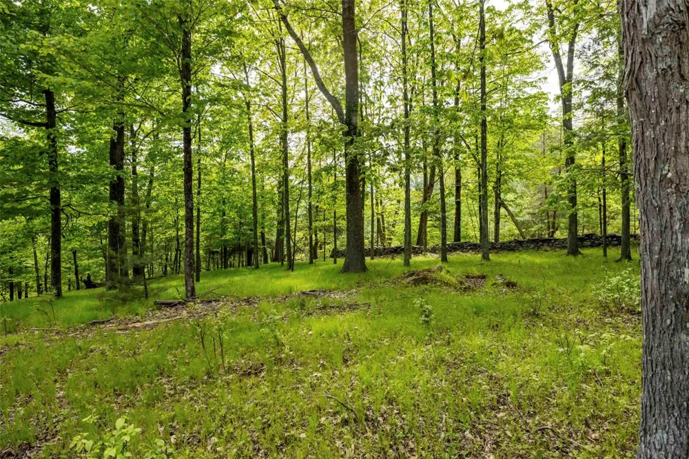 8 Forest Camp Road Wawarsing, NY 12489