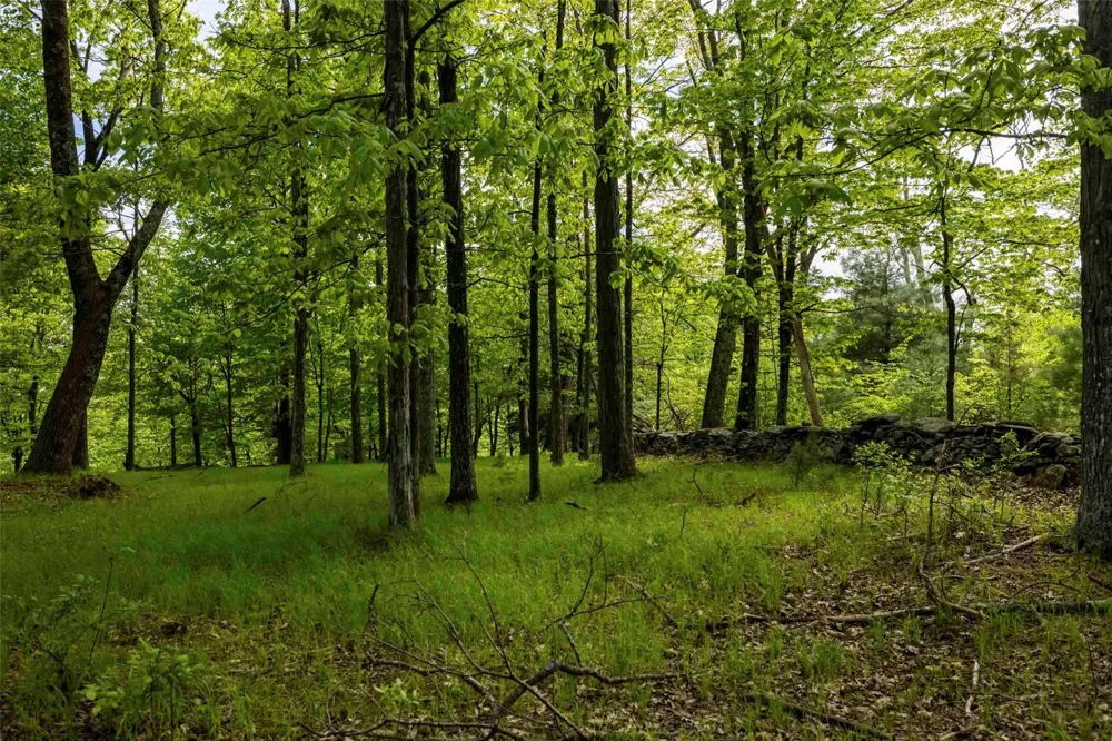 8 Forest Camp Road Wawarsing, NY 12489