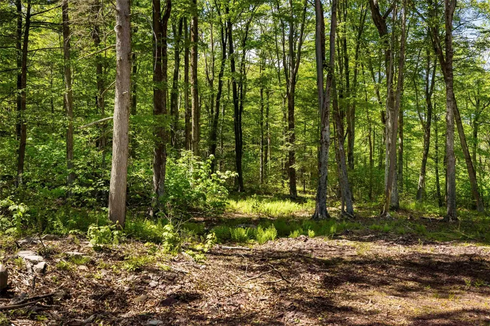 1 Red Rock Road Wawarsing, NY 12489