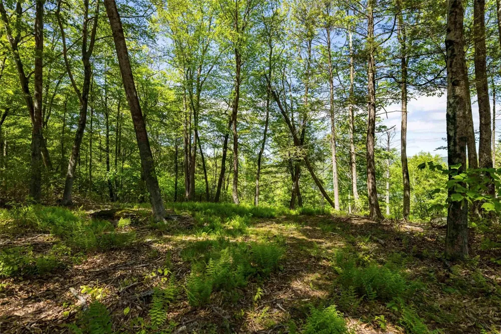 1 Red Rock Road Wawarsing, NY 12489