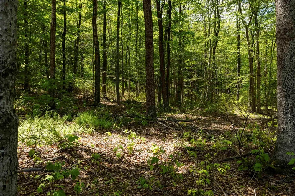 1 Red Rock Road Wawarsing, NY 12489