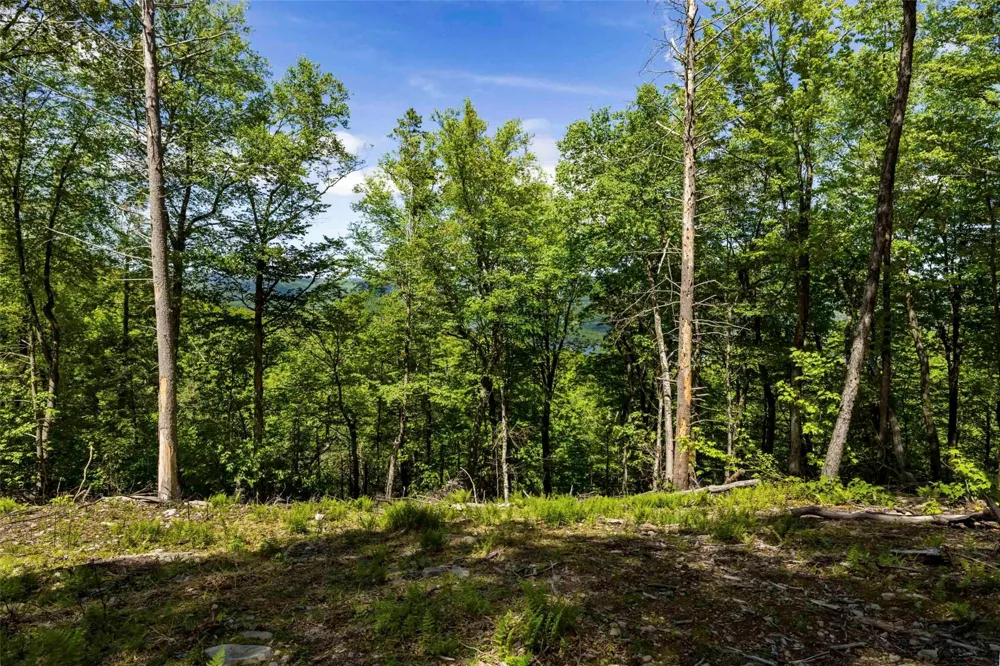 1 Red Rock Road Wawarsing, NY 12489