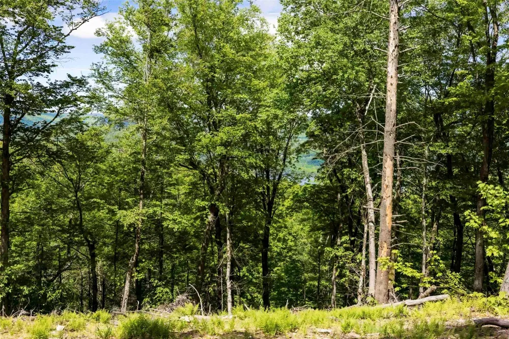 1 Red Rock Road Wawarsing, NY 12489