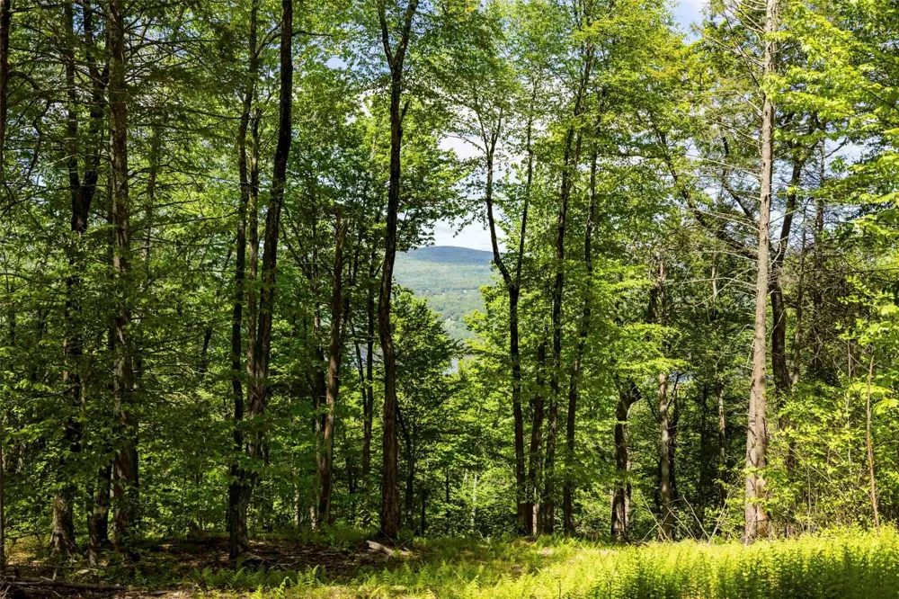2 Red Rock Road Wawarsing, NY 