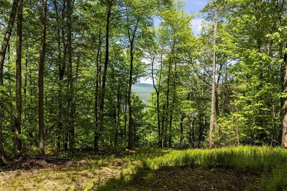 2 Red Rock Road Wawarsing, NY 