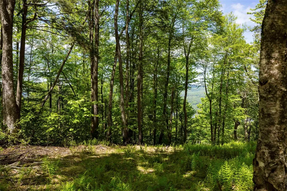 2 Red Rock Road Wawarsing, NY 