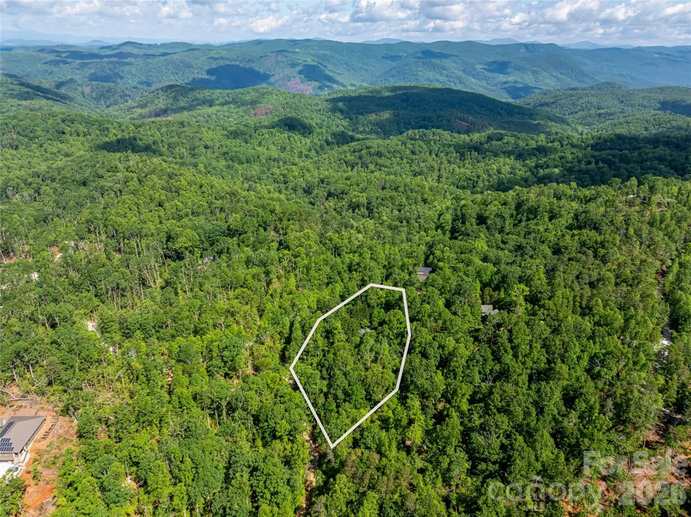 75 Cougar Lane Saluda, NC 28773